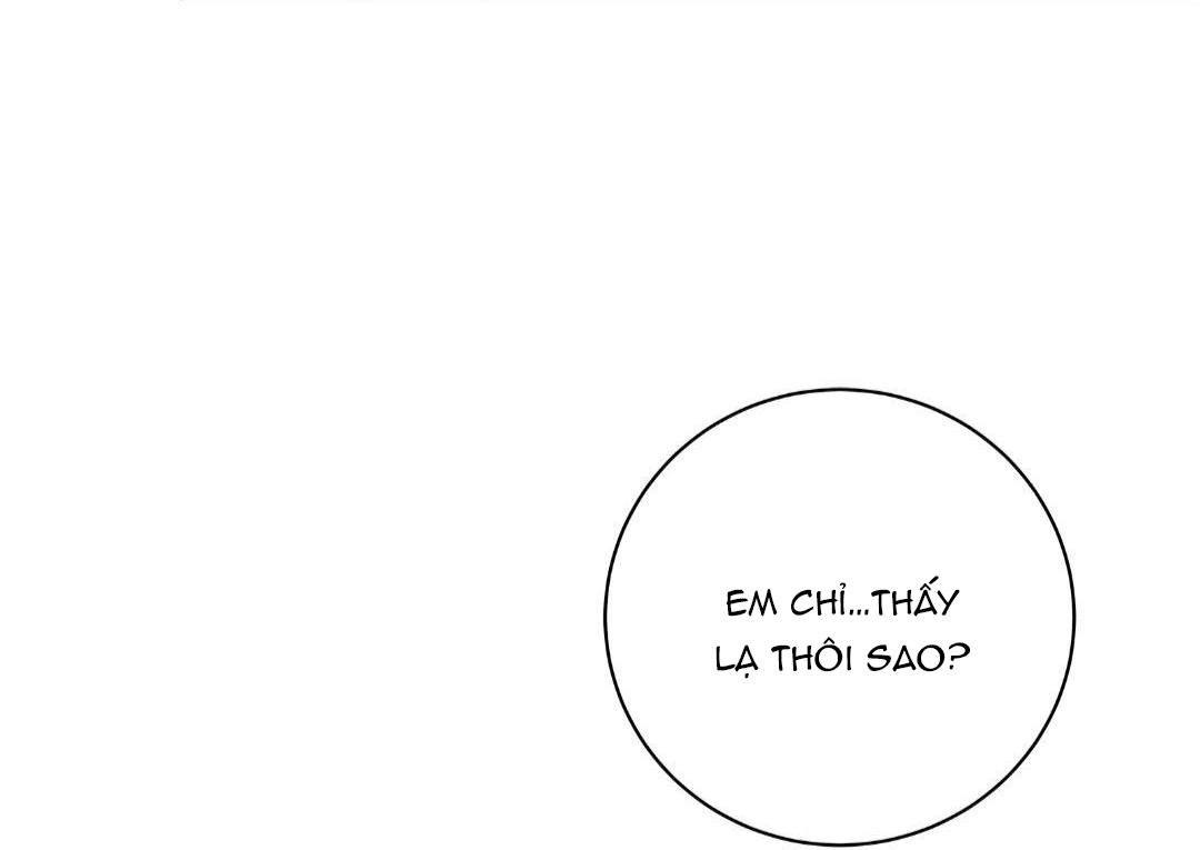 hạnh phúc trọn vẹn chapter 23 13