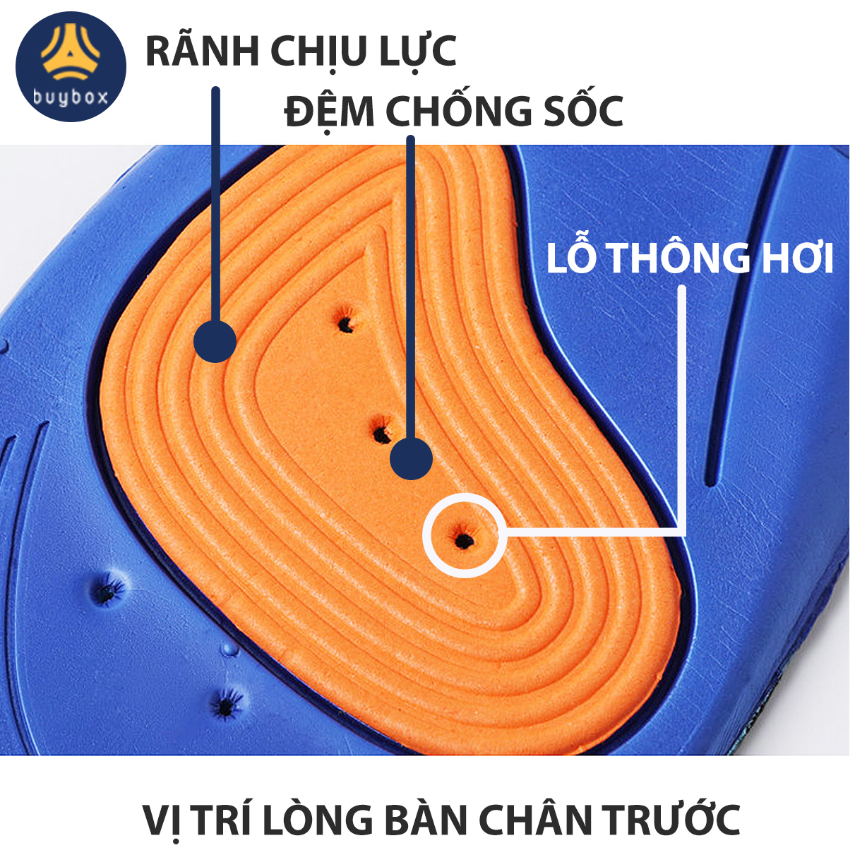 Hình ảnh Lót giày thể thao EVA biết thở và có 2 đệm chịu lực hỗ trợ vận động thể thao - Đen phối xanh - buybox - BBPK155