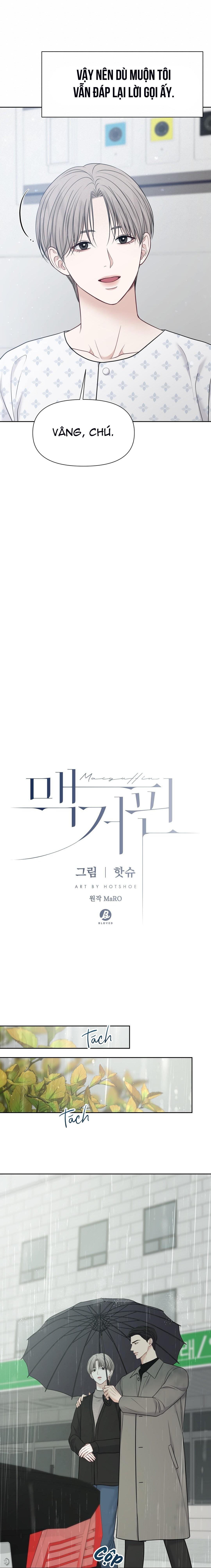 macguffin chapter 26 3