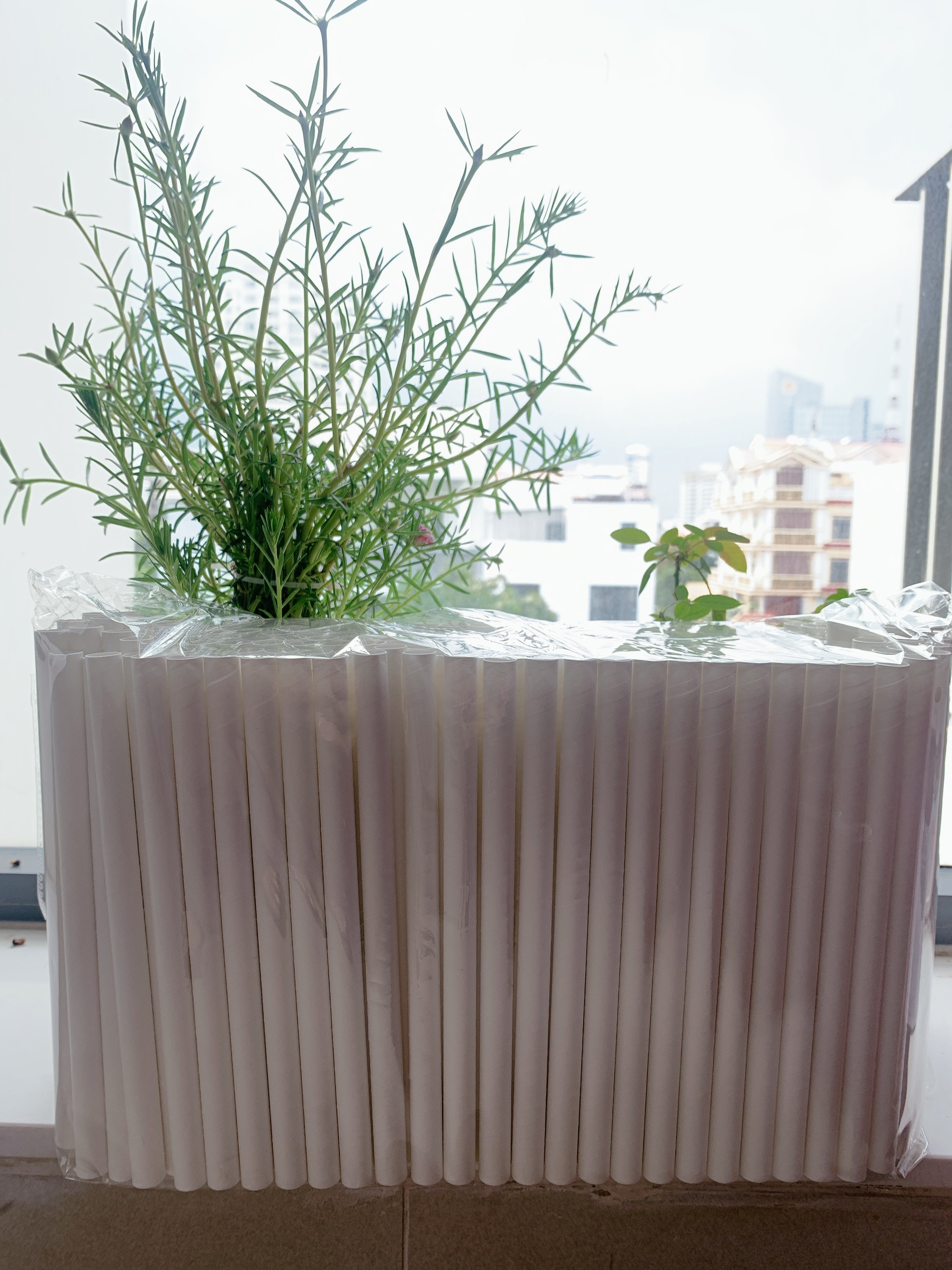 Túi 500 gram ống hút giấy Clean paper Straw size 12mm màu trắng dùng để uống trà sữa