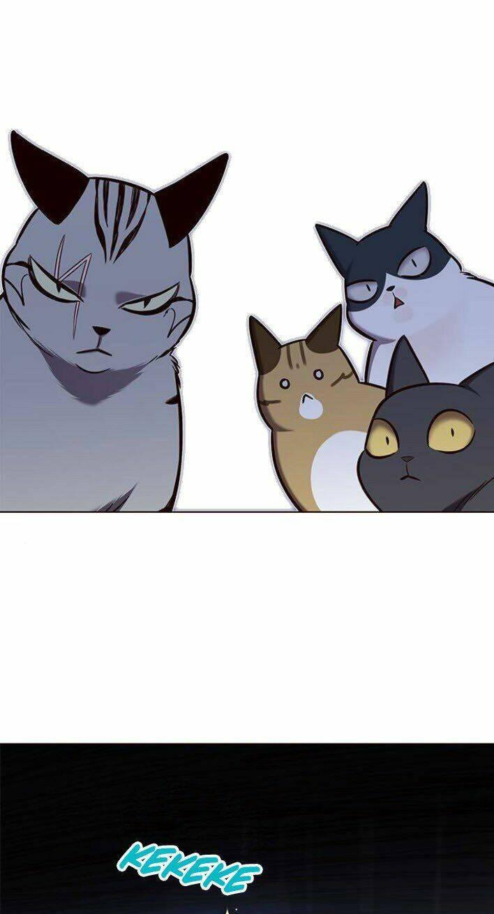 biến thân thành mèo chapter 139 56