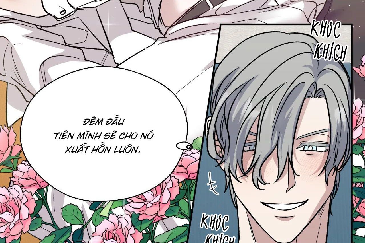 ám ảnh pheromone chapter 62 66