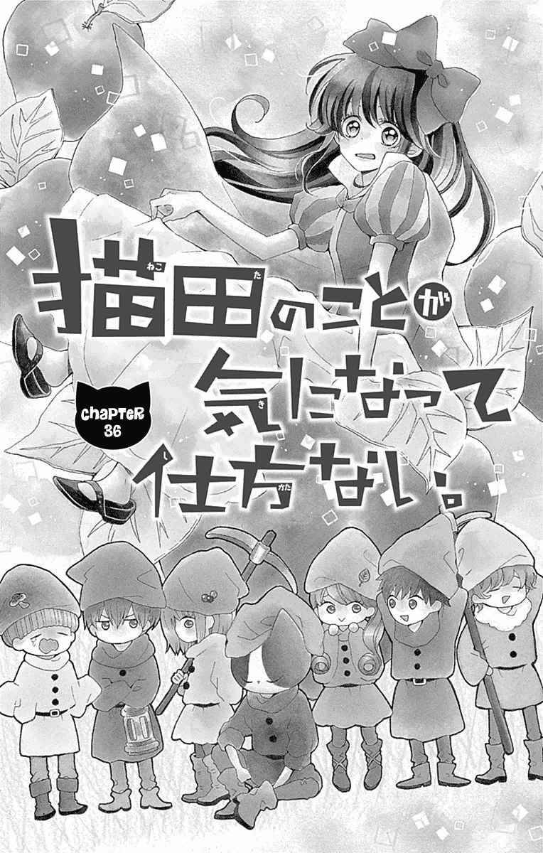 nekota no koto ga ki ni natte shikatanai chapter 36 1