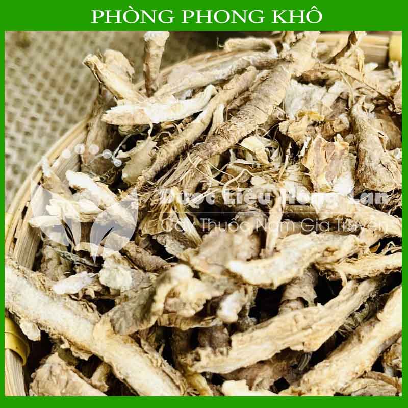 100gram Phòng phong đồng vị thuốc bắc khô sạch