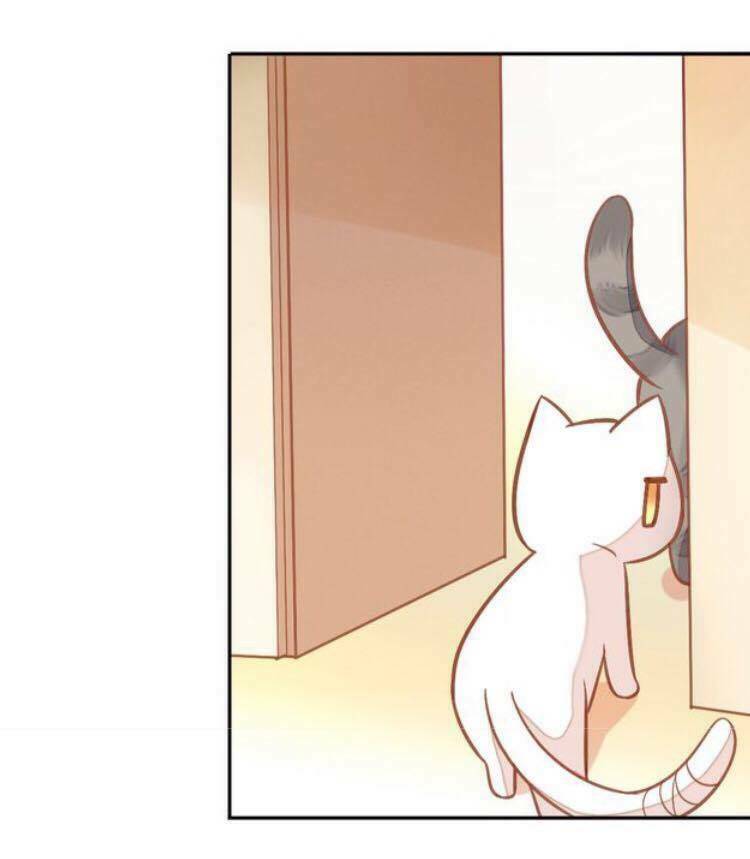 dưới móng vuốt mèo chapter 4 38