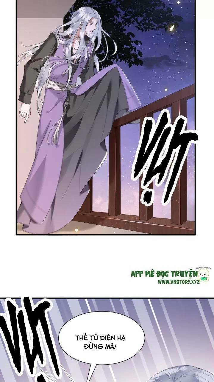 phượng hoàng vu phi chapter 66 5