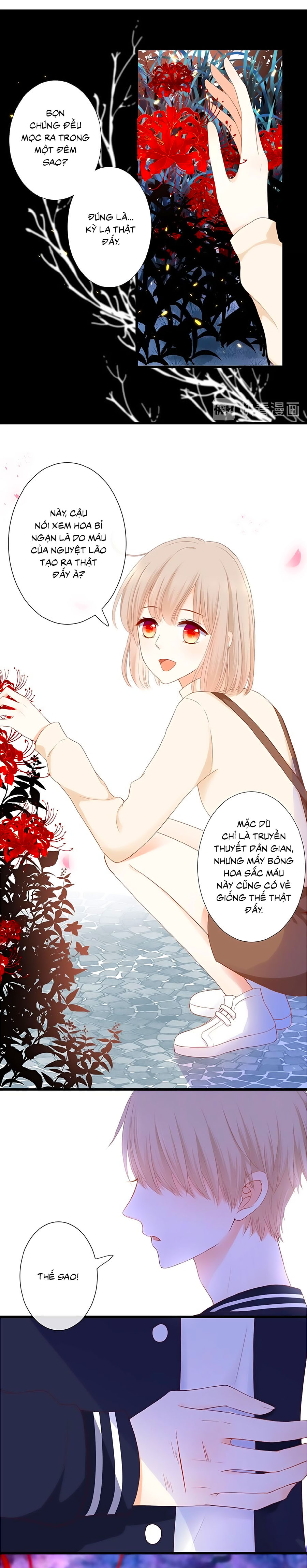 đóa hoa chớm nở chapter 21 3