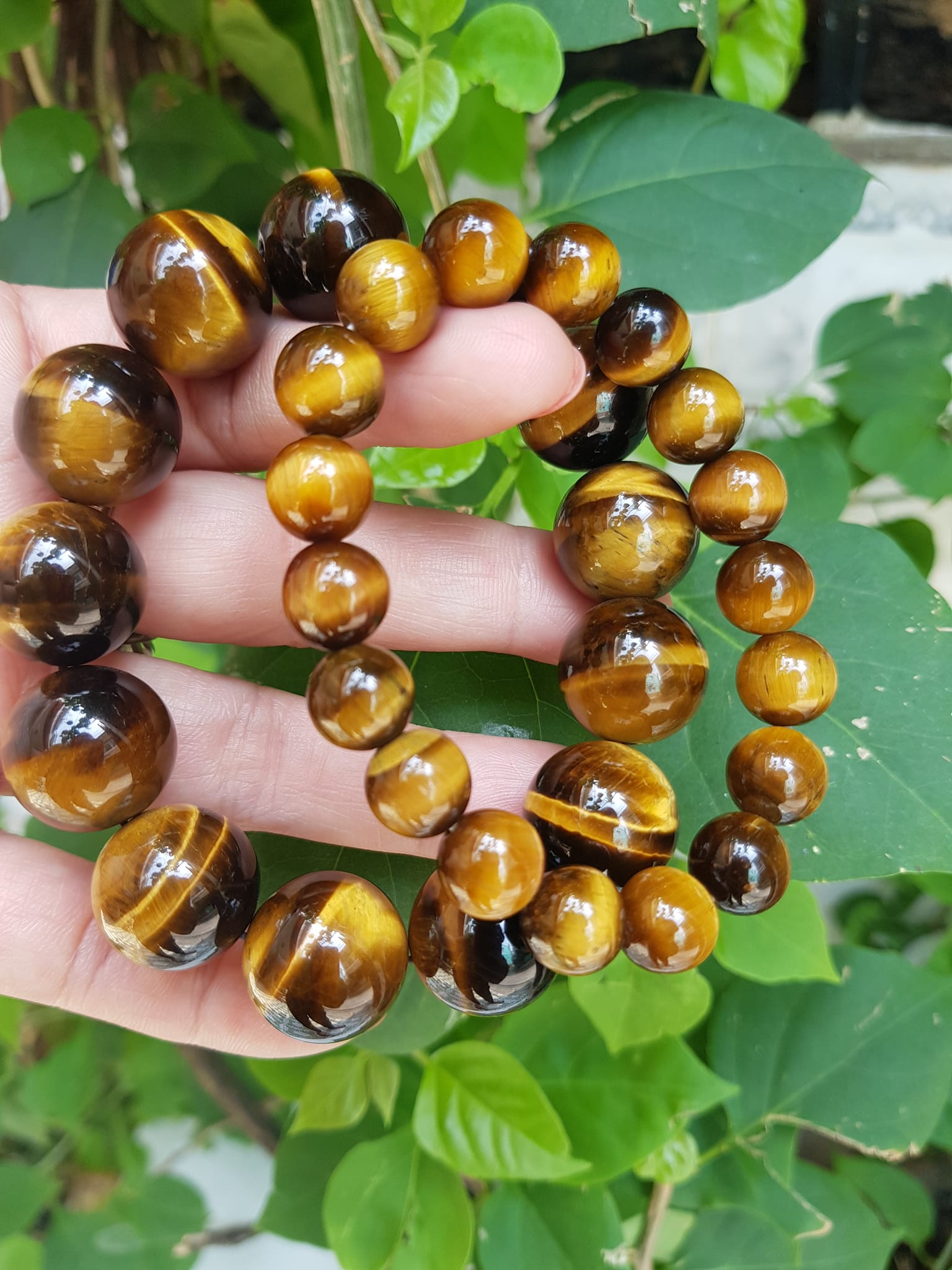 Vòng tay cặp Đá Mắt Hổ Tự Nhiên Vàng Nâu đem lại sự giàu có may mắn Vòng phù hợp với vợ chồng anh chị mệnh Thổ và mệnh Kim ạ Cặp vòng size 10mm và 16mm đeo rất đẹp tốt ạ