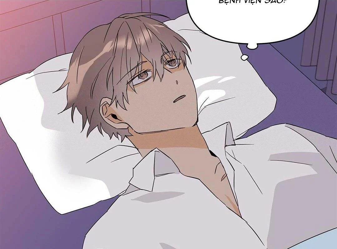 guide cấp b chapter 17 61