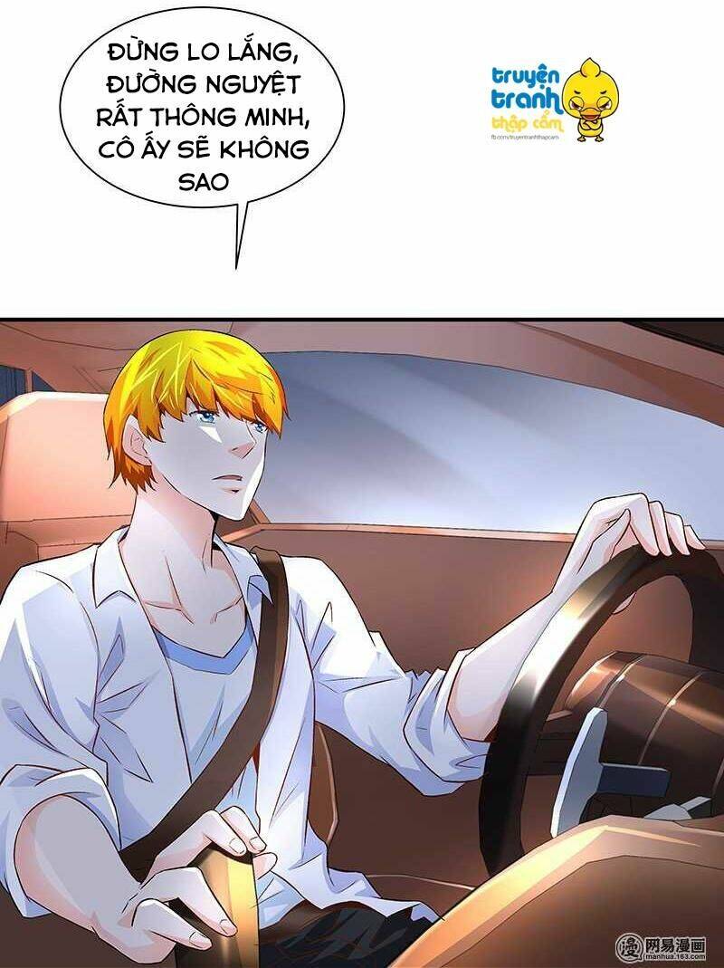 cường sủng hào môn tiểu manh thê chapter 47 30