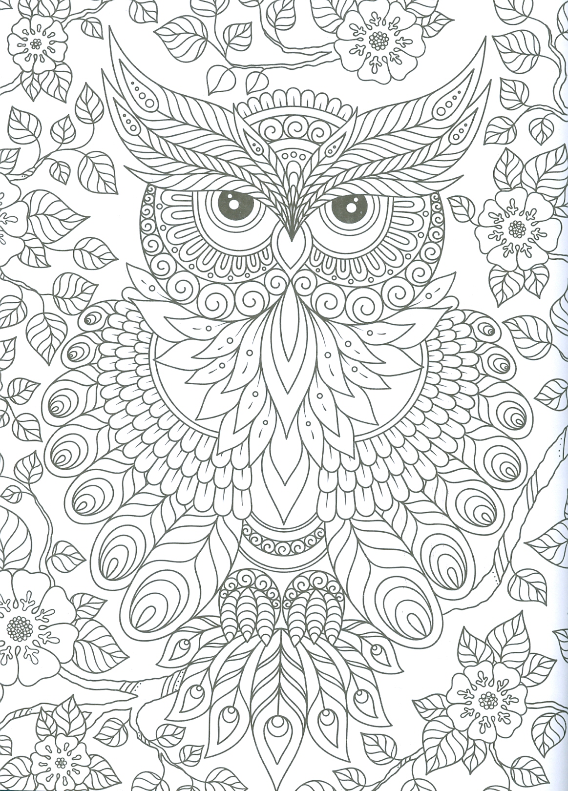 Wilderness - Adults Colouring Book (Sách Tô Màu Dành Cho Người Lớn: Động Vật Nơi Hoang Dã)