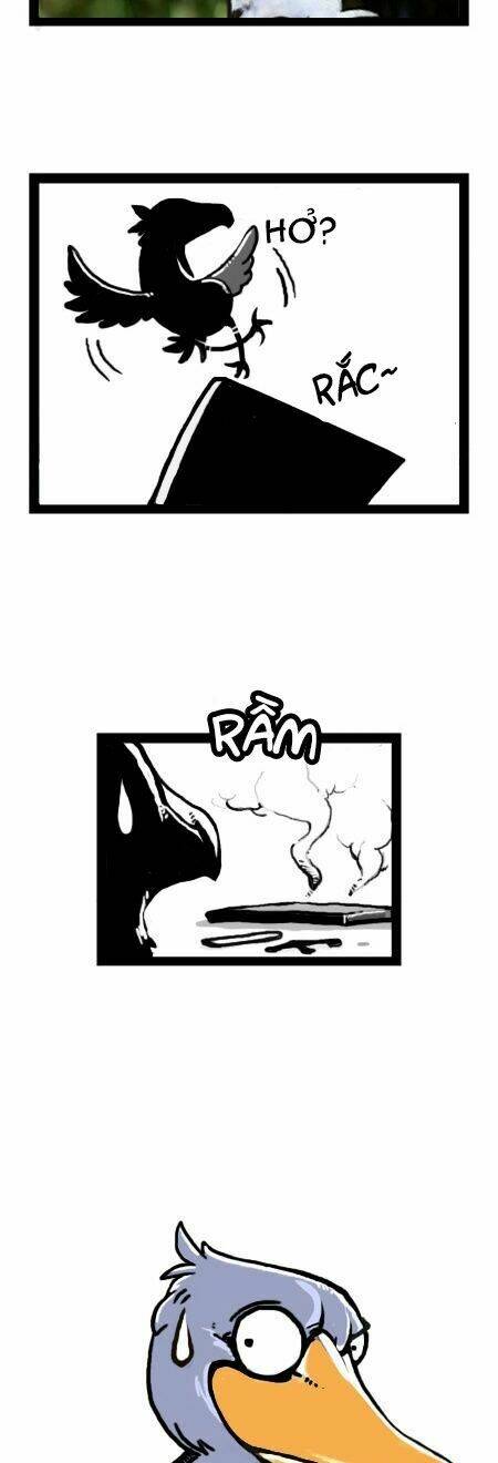 earth, human, and animal chapter 14 5