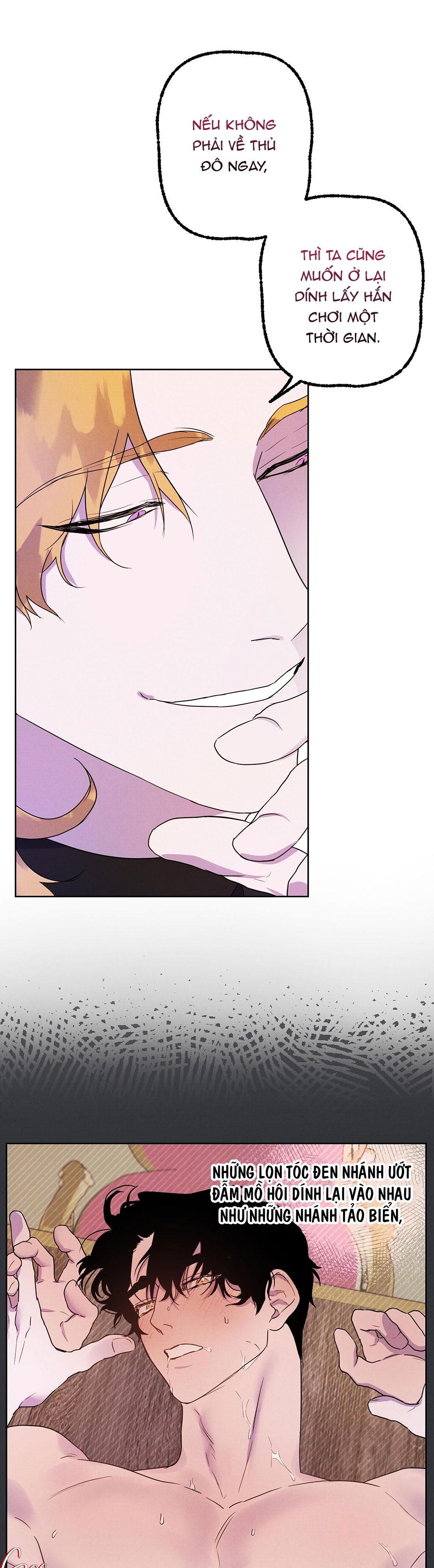 đóa hoa của alosha chapter 2 21