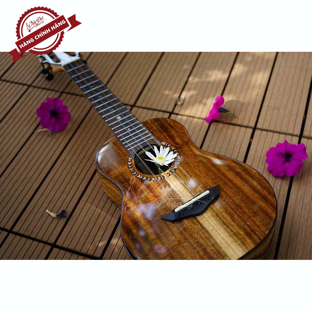 Đàn Ukulele Concert SQOE SQ UK-2420C, Gỗ KOA Nguyên Tấm Cao Cấp, Kèm Quà Tặng - Hàng Chính Hãng