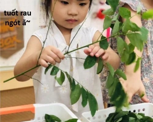 sự lụi tàn của usuzumi chapter 116 26