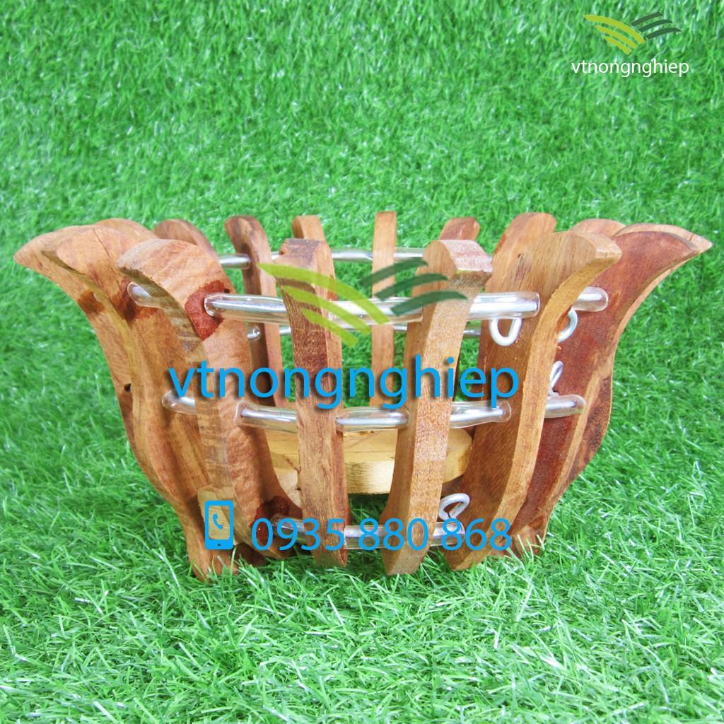 Chậu gỗ trồng lan, chậu gỗ căm xe trồng lan hình hoa sen, đường kính lọt lòng 20cm