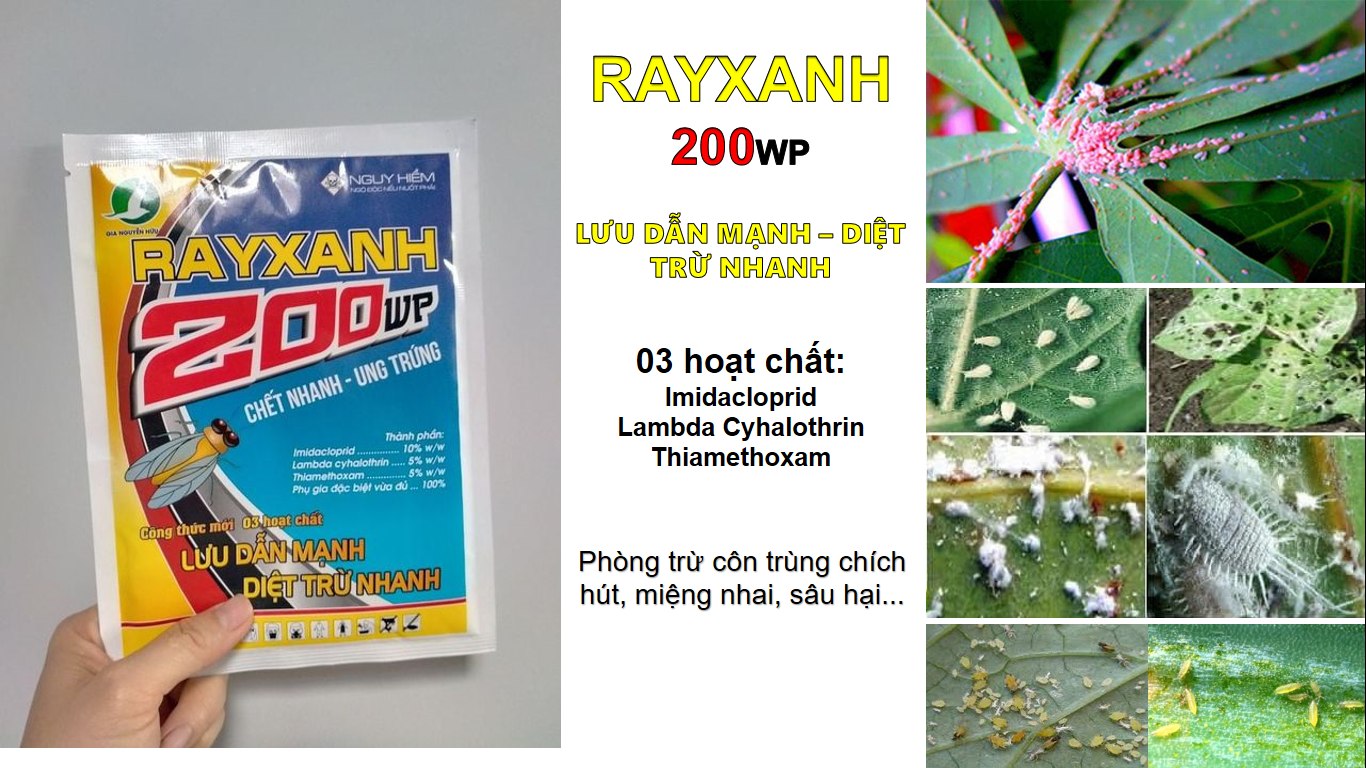 RẦY XANH 200WP - Thuốc đặc trị Sâu, rầy, rệp vào giai đoạn làm đọt, làm bông.