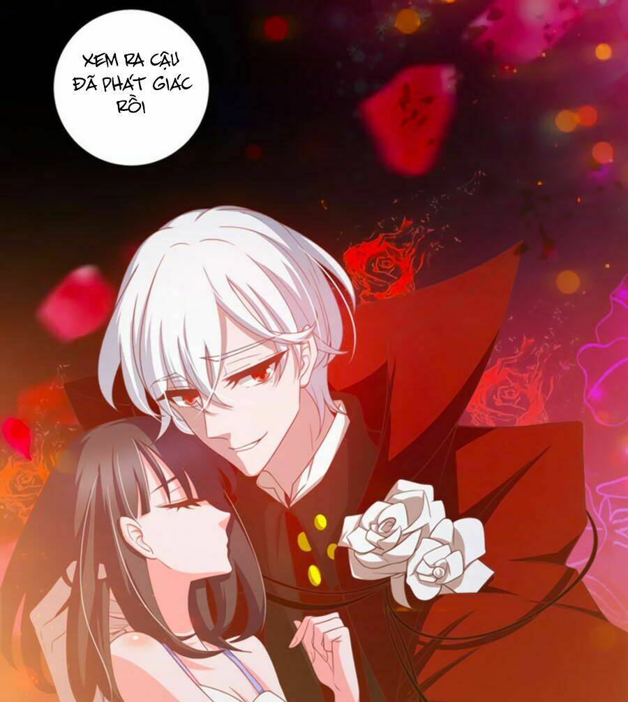 người yêu khát máu của tôi chapter 41 26