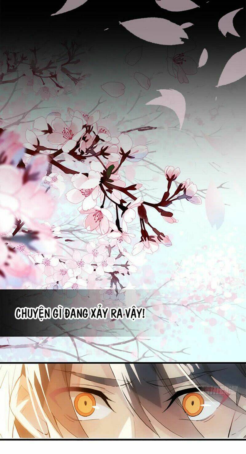 sư phụ lại trêu chọc ta chapter 33 22