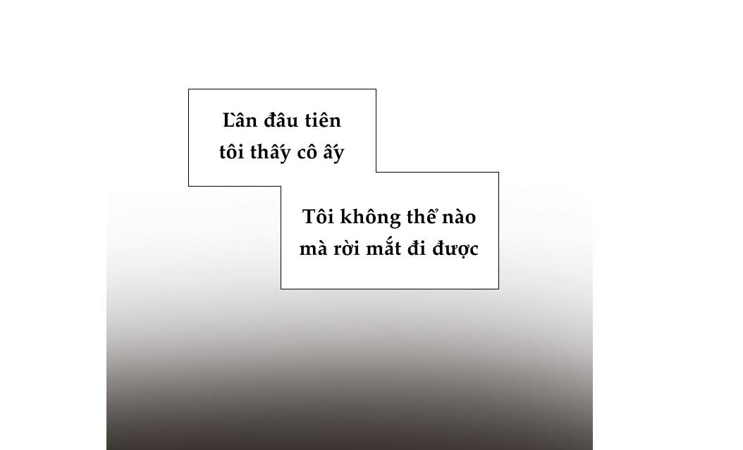 tình yêu như một giấc mộng hè chapter 0.3 12