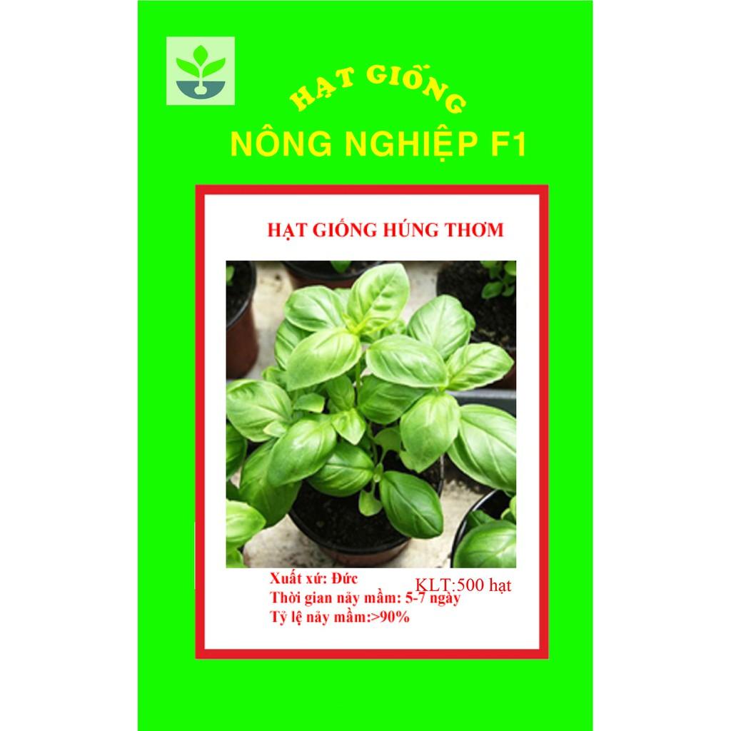 Gói 100 hạt giống rau húng thơm
