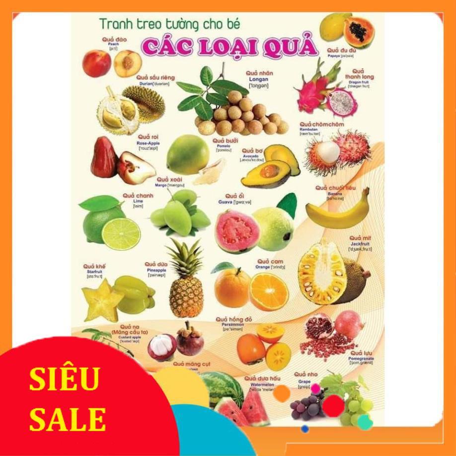 Tranh Treo Tường Song Ngữ 14 Chủ Đề Về Thế Giới Xung Quanh cho bé HK01