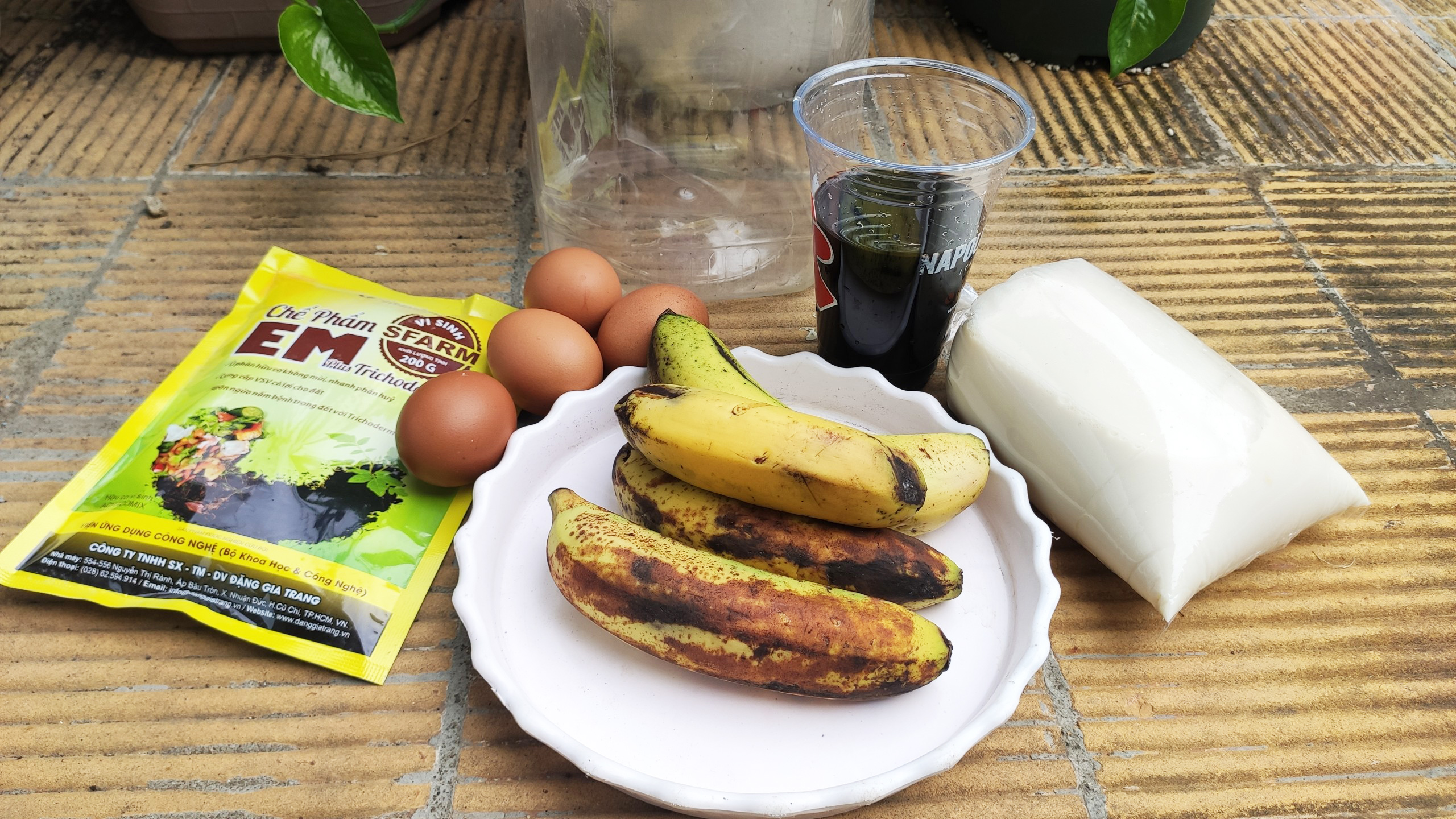 Combo 1 túi chế phẩm EM Sfarm 200gr và 2 chai mật rỉ đường Sfarm 1 lít