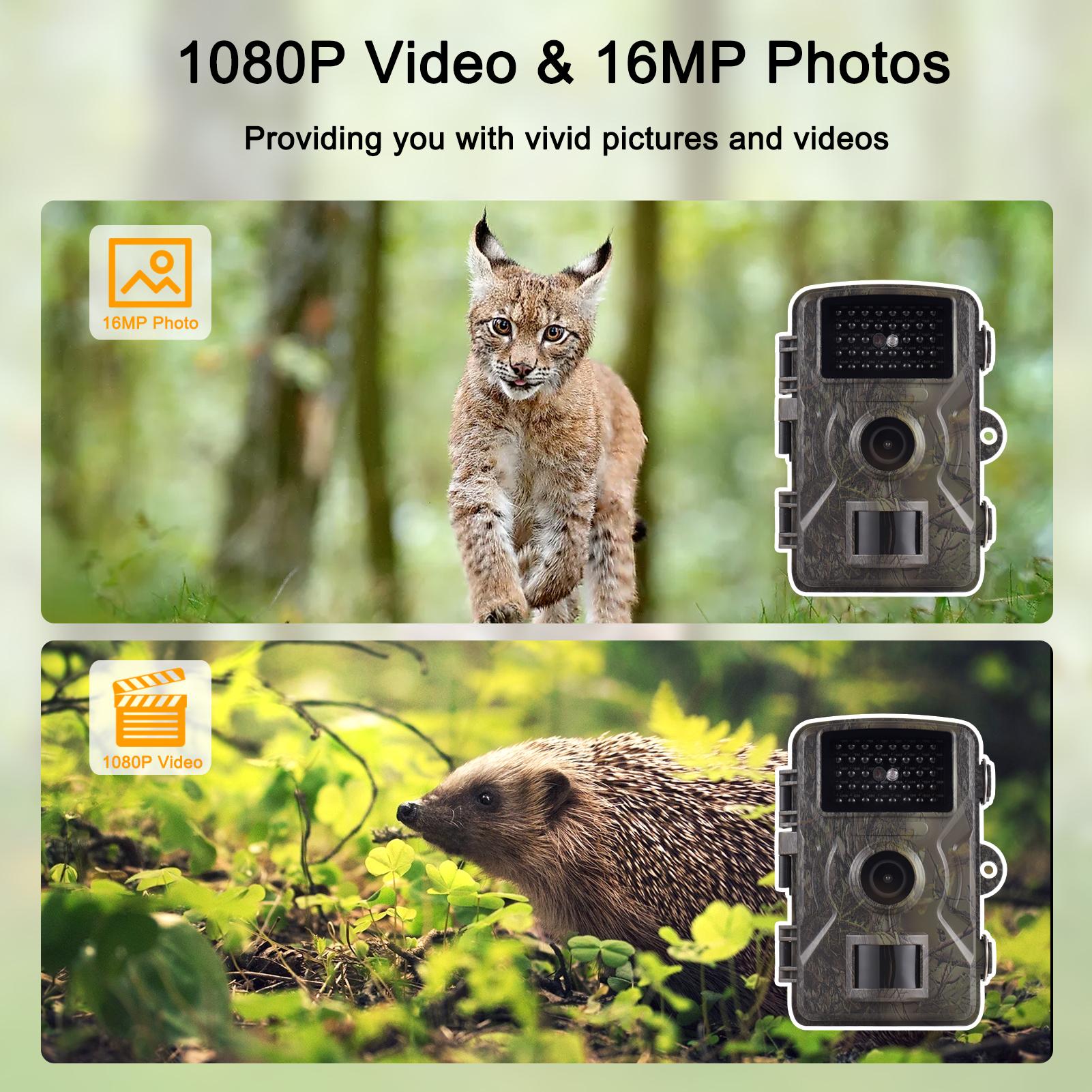 1080P Trail Camera 16MP Wildlife Scouting Camera Tracking Camera with 2.0 Inch TFT Color Screen 0.8s Trigger Time Supports Infrared Night Vision Motion Activated IP66 Waterproof