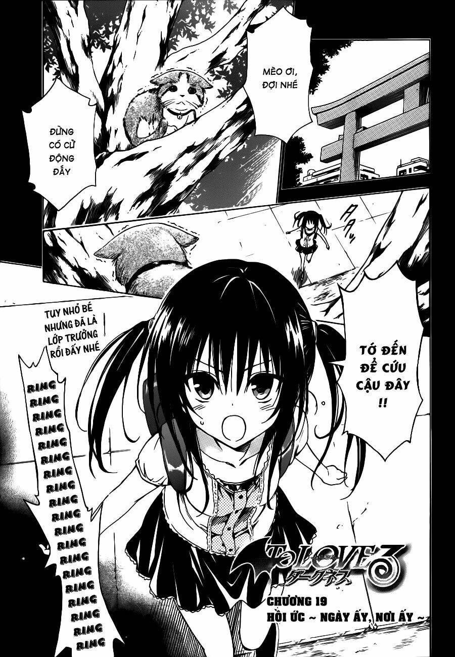 bọn tớ thích cậu! rito 2 - venus chapter 25 2