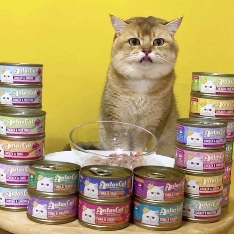 Pate Lon Cao Cấp Aatas Cat Tantalizing Tuna 80G - Hàng Nhập Khẩu