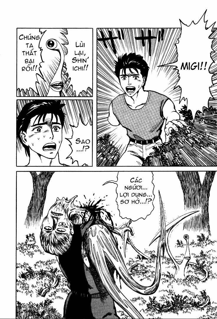 kiseijuu - ký sinh vật chapter 58 26