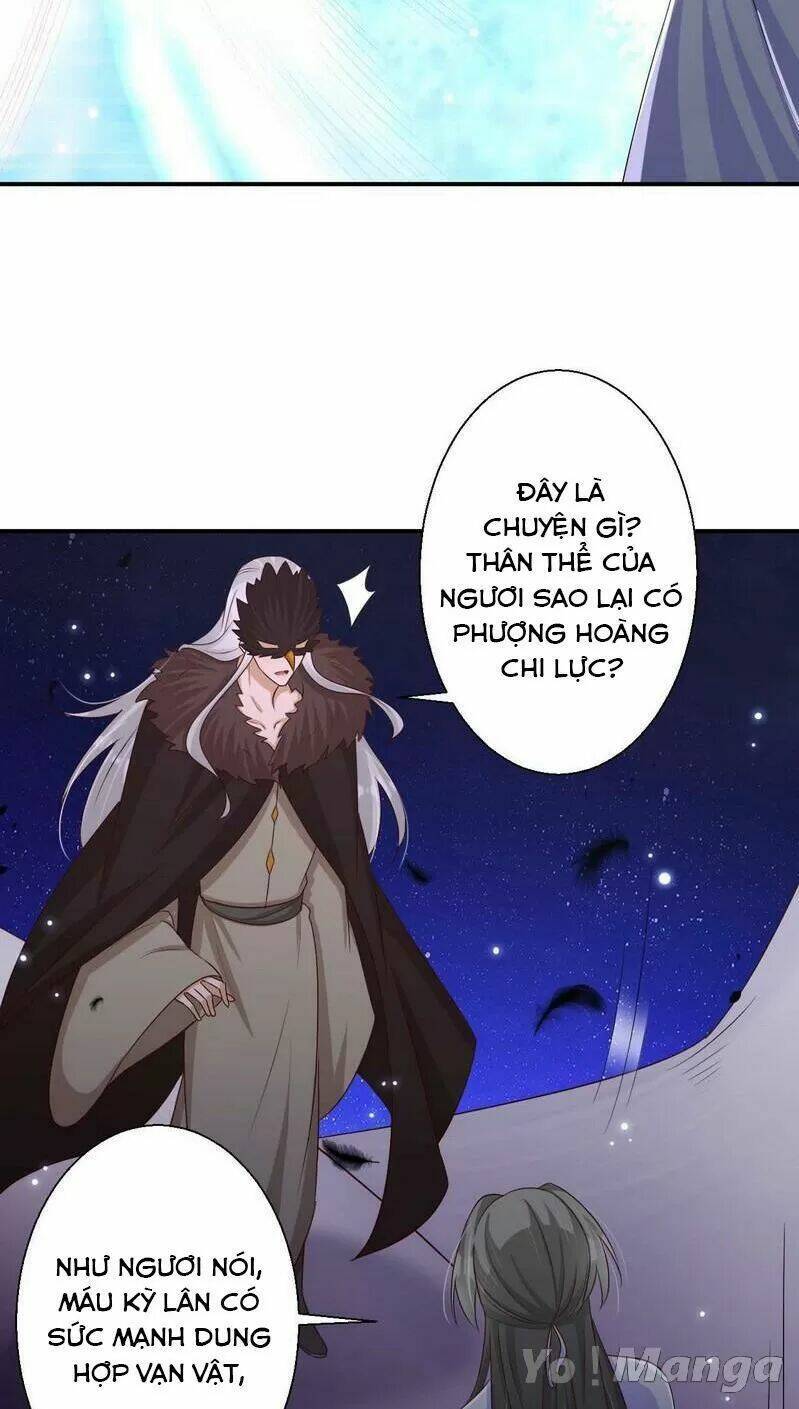 độc y cuồng phi chapter 73 20