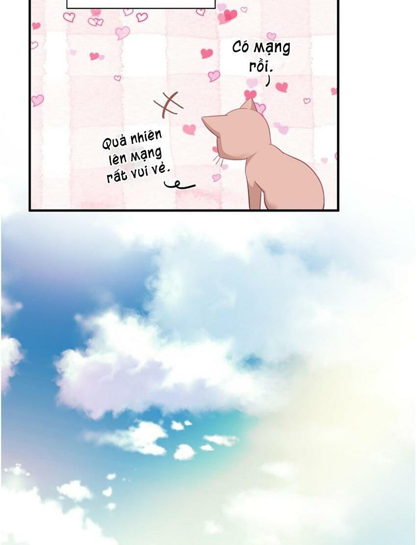 cuộc sống kỳ thú chapter 17 26