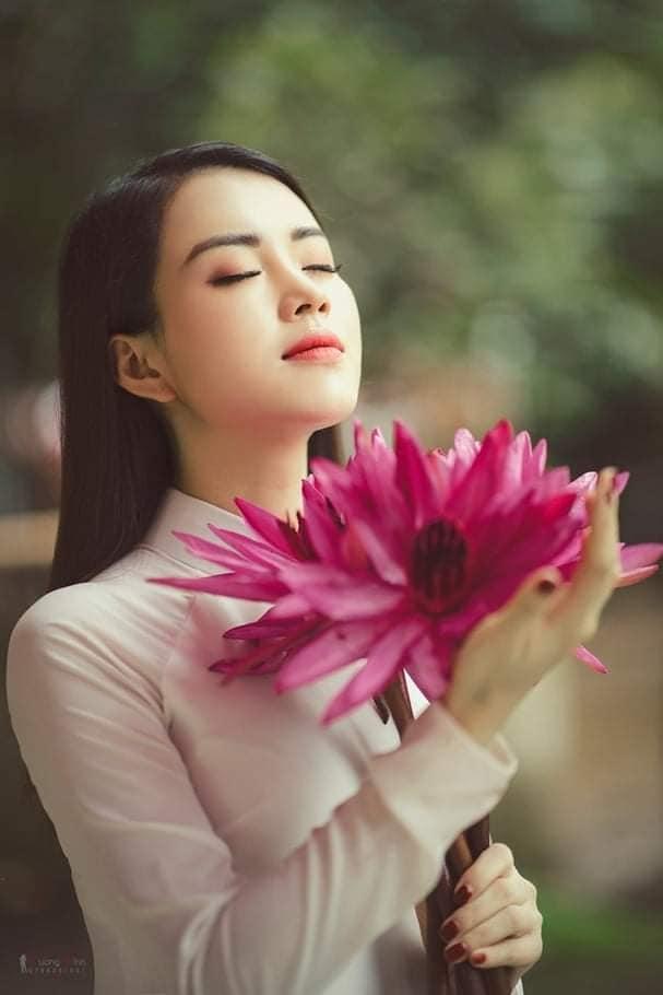 1 Cây bông súng thái kép hoa đỏ