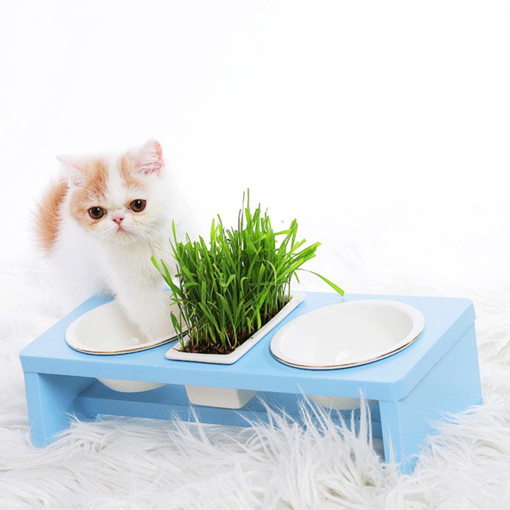 Pet Ceramic Food Water Feeding Bowl With Wooden Stand For Cat Dog Sky Blue