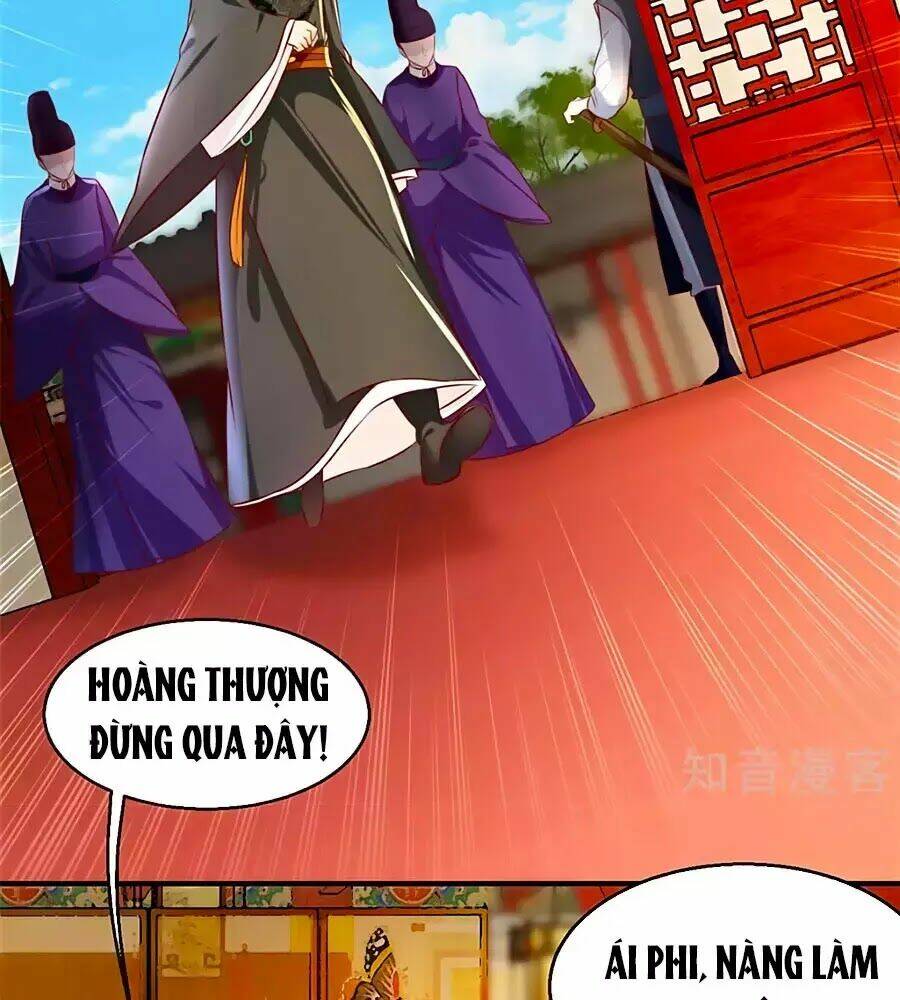 gian phi như thử đa kiều chapter 25 28