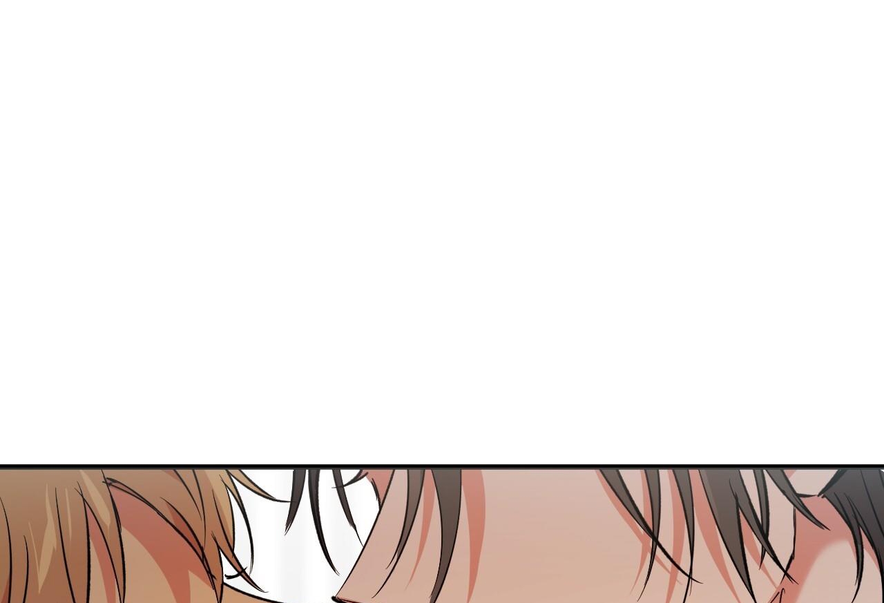 những chú thỏ của hapypy chapter 57 137