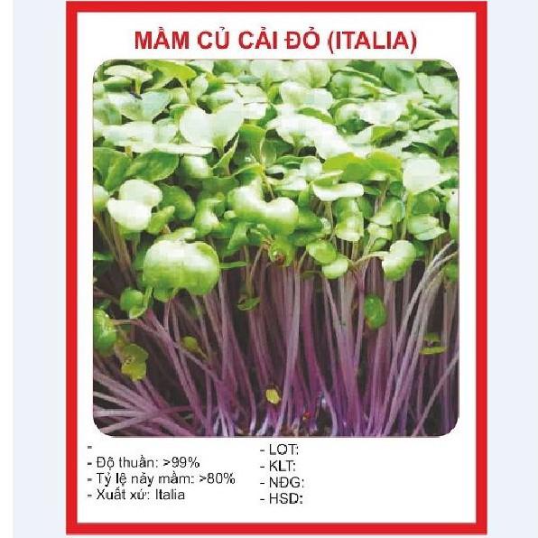 Hạt Mầm củ cải đỏ đỏ ( 50gr/gói )