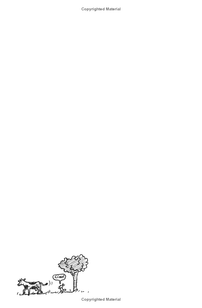 Sách ngoại văn: The 91-Storey Treehouse