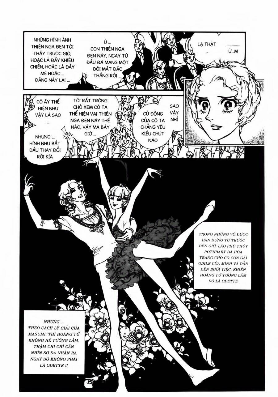 swan - vũ khúc thiên nga chapter 42 13