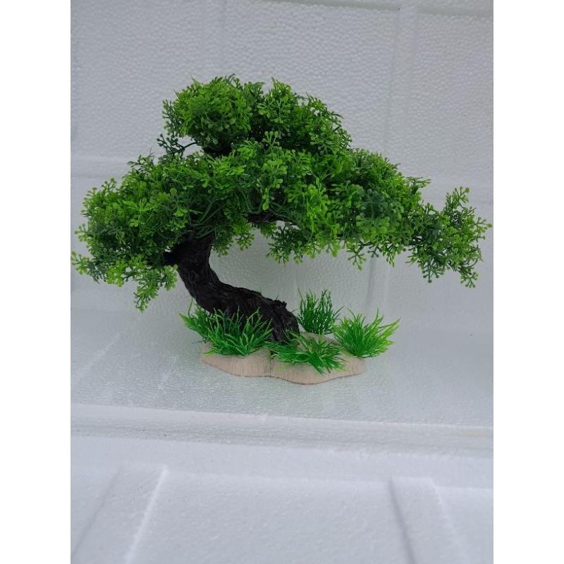 Bonsai bể cá -trang trí tiểu cảnh, hòn non bộ
