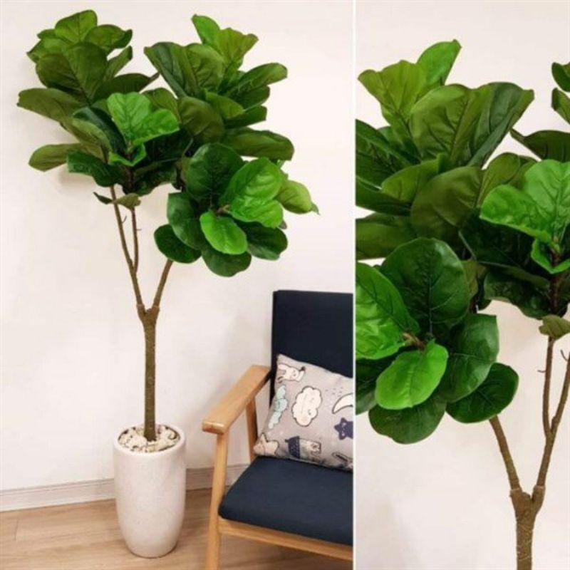 Cây bàng singapo giả cao cấp các kích cỡ