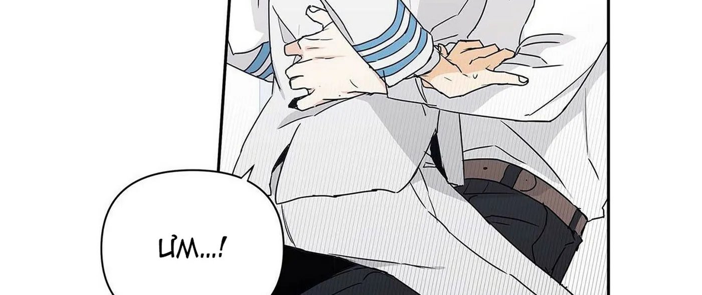 guide cấp b chapter 5 131