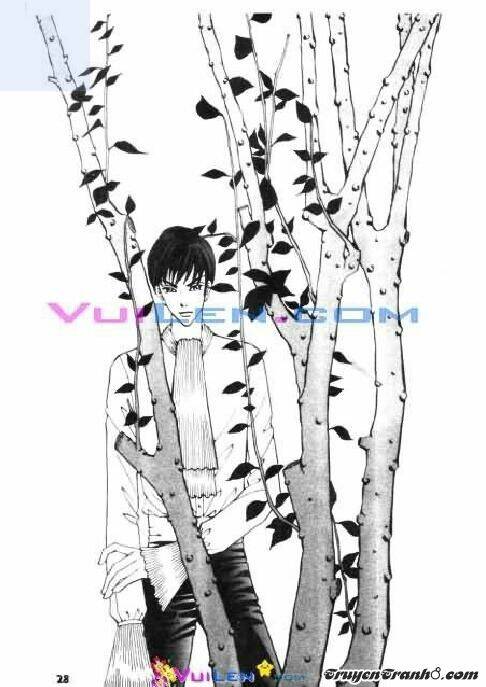 người mẫu hoàn hảo chapter 3 27