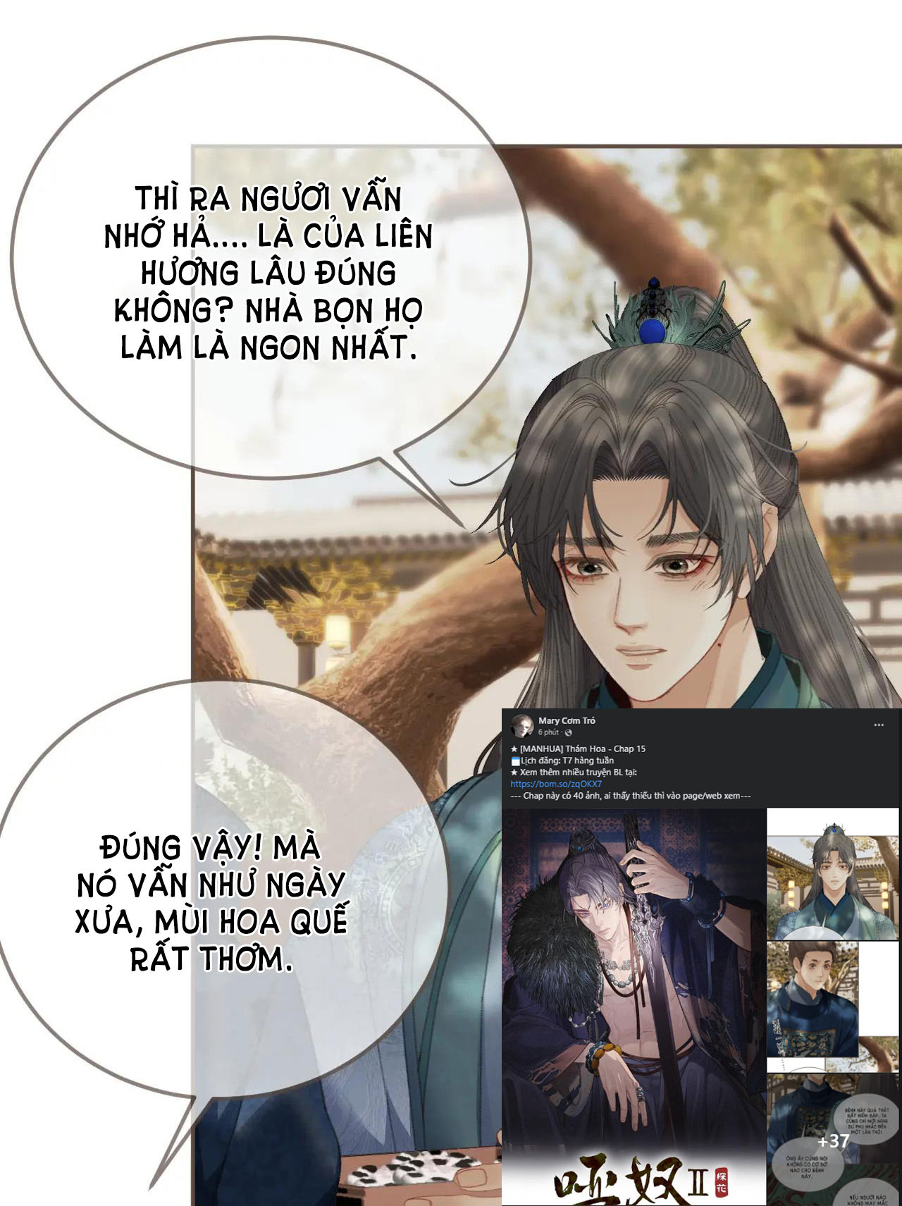 thám hoa chapter 15 31