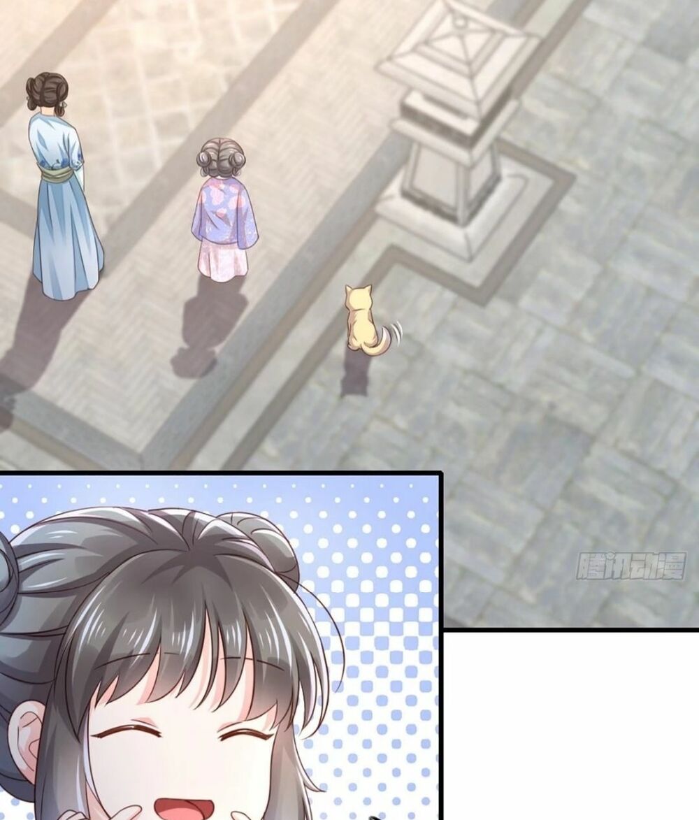 thuần hóa ba ba bạo quân chapter 2 20