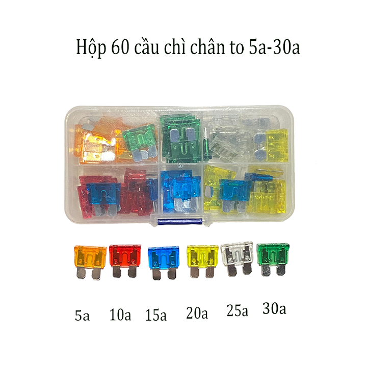 Bộ 60 Cầu Chì chân to Dự Phòng cho Xe Hơi, Xe Máy, Xe Tải