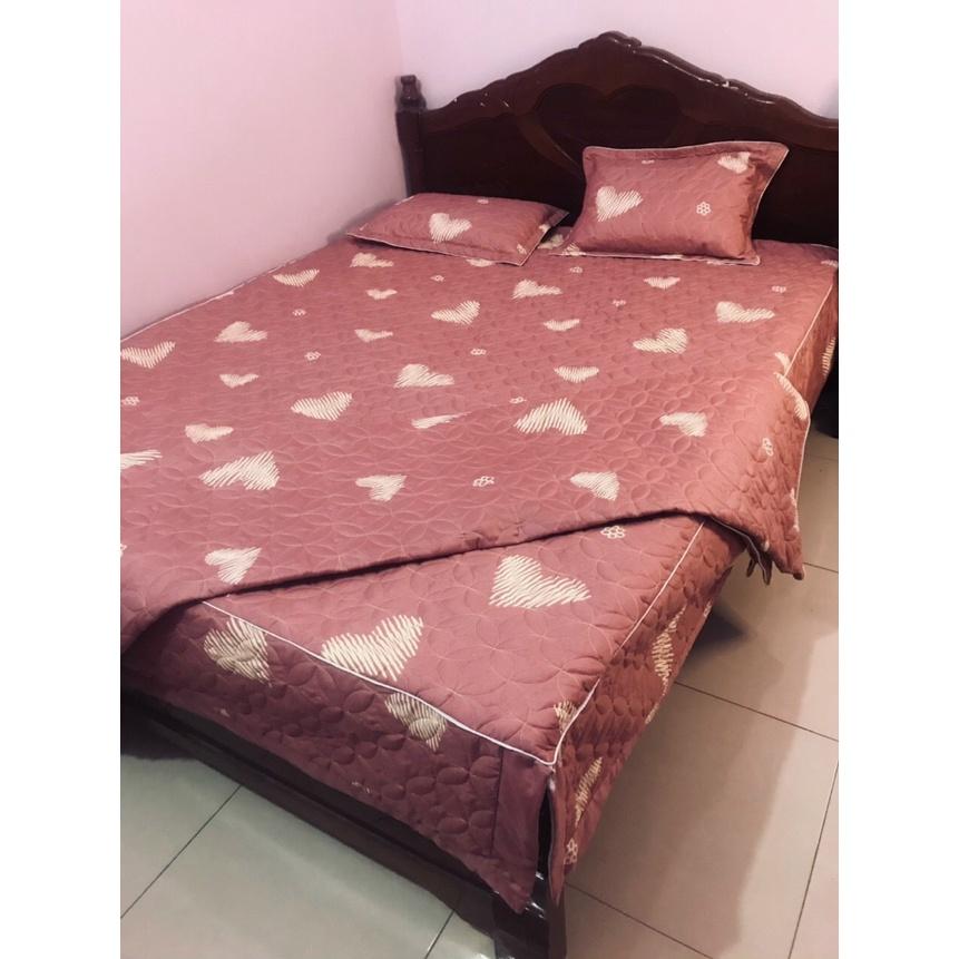 Bộ Ga 3 món Trần Bông Dày Dặn mẫu Tuần Lộc Xanh Xẻ Góc
