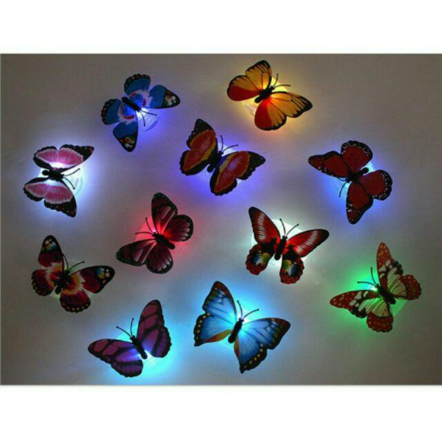 Bướm 3D có đèn LED
