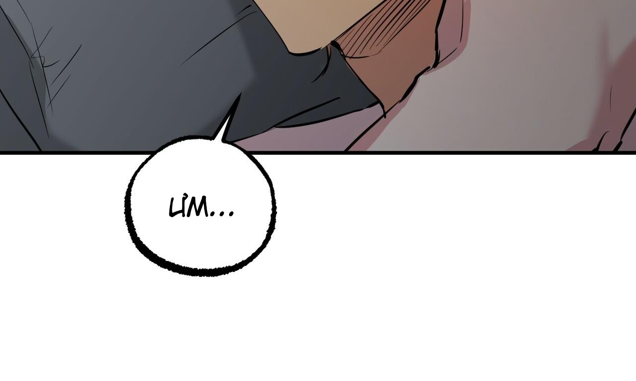 đàn thỏ của habibi chapter 52 232